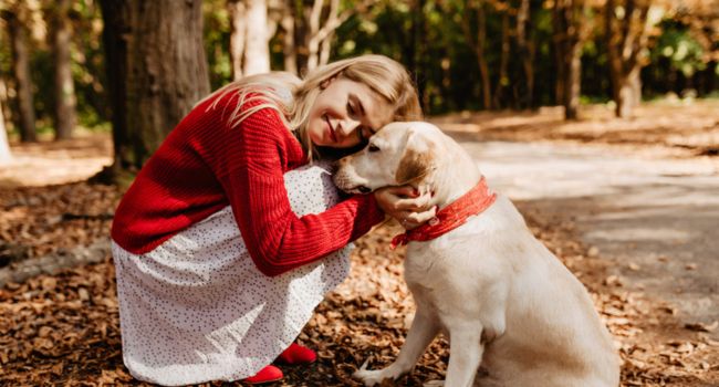 Frau im roten Pullover umarmt Labrador mit rotem Halsband im herbstlichen Wald bei Hunde-Hörverlust-Erkennung​​​​​​​​​​​​​​​​​​​​​​​​​​​​​​​​​​​​